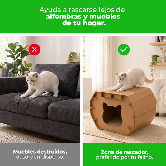 Casa Rascador Personalizable para Gatos.